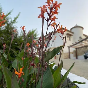 https://villa-sunshine-frigiliana.es-andalucia.com